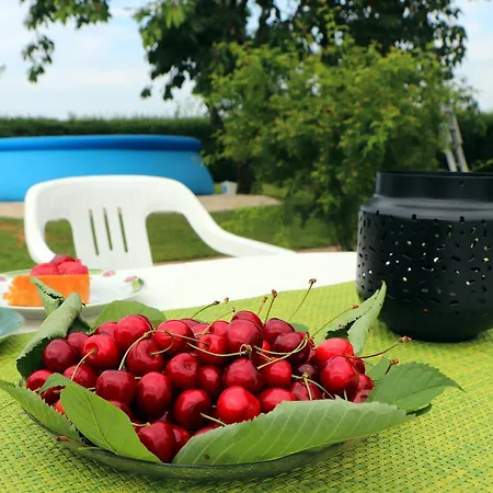 Fuchsheisl Holiday home